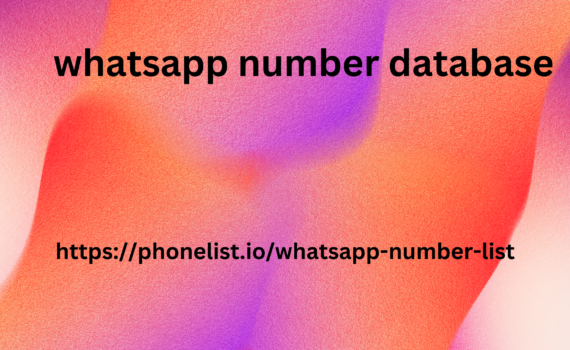 whatsapp number database